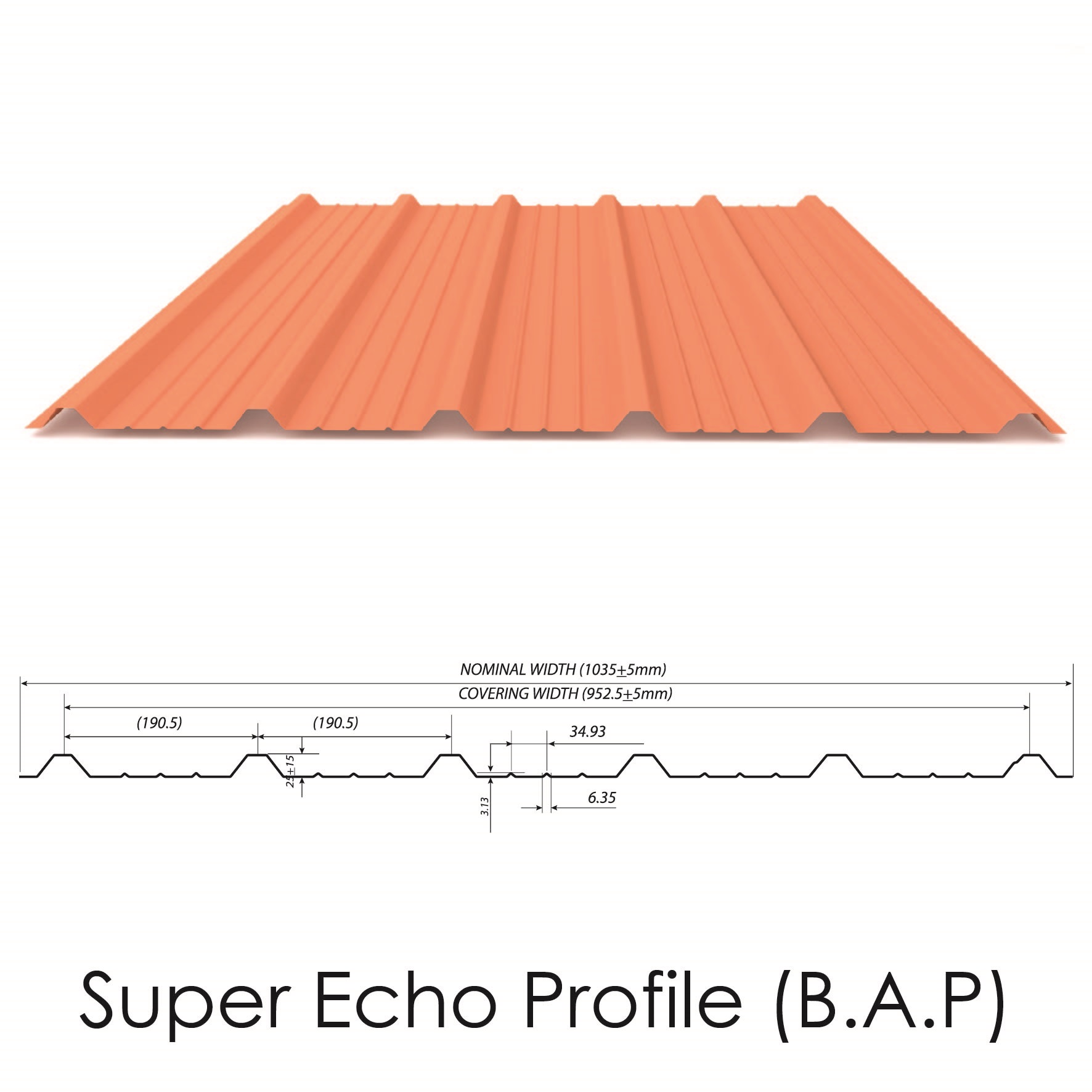 Super Echo Profile(B.A.P) - image 2