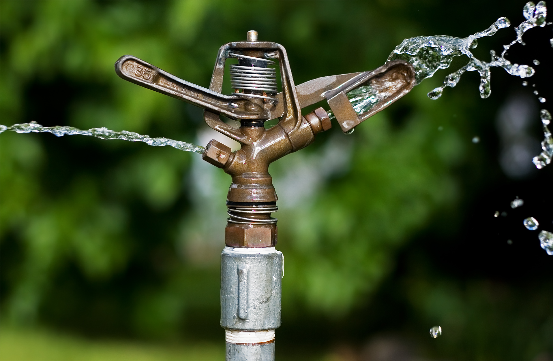 Sprinkler - main image