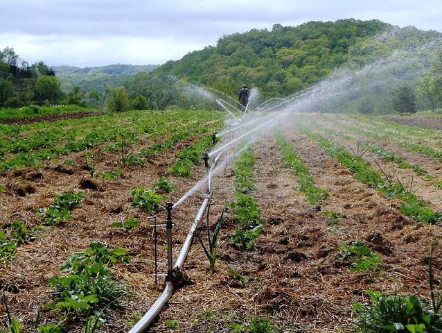 Irrigation scheme study and installation - main image