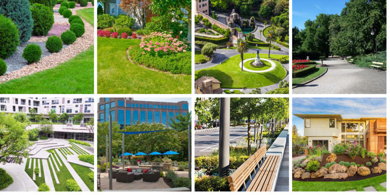 Landscaping Design - main image