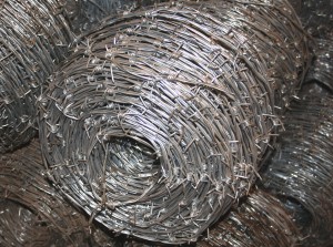 Barbed Wires - image 2